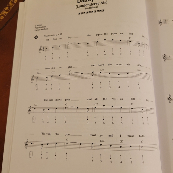 New Hohner Harmonica And Music Book - Picture 10 of 12